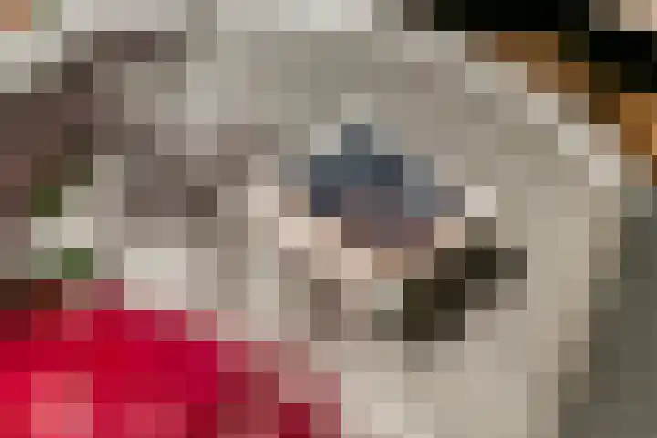 Tureluur 33 Maurik thumbnail 18