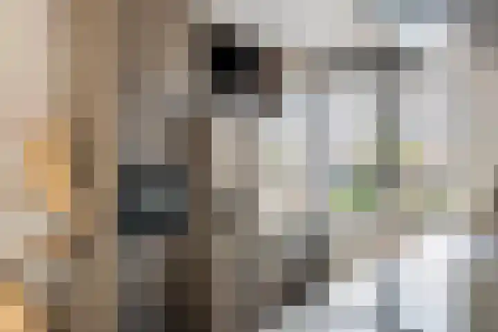 Tureluur 33 Maurik thumbnail 19