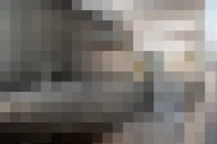 Tureluur 33 Maurik thumbnail 20