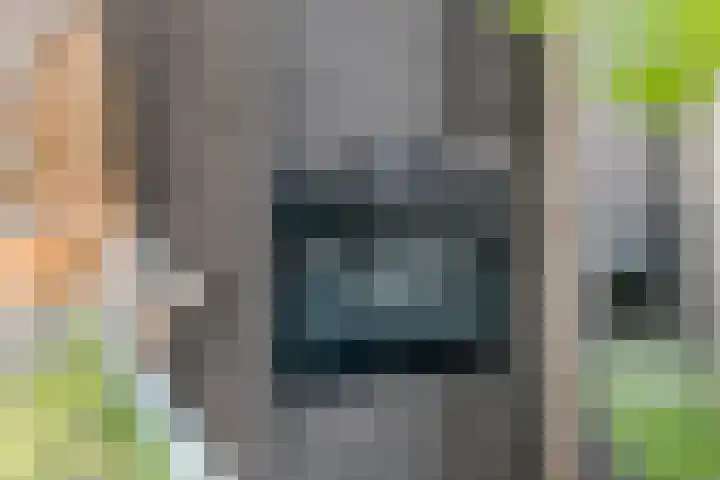 Tureluur 33 Maurik thumbnail 21