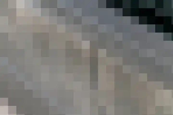 Tureluur 33 Maurik thumbnail 22