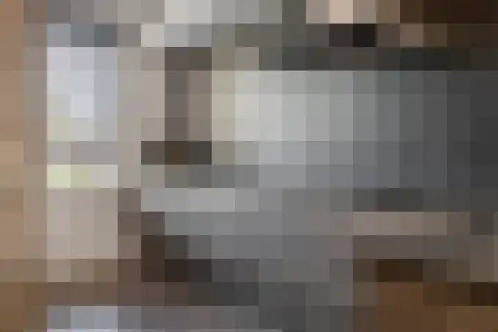 Tureluur 33 Maurik thumbnail 24