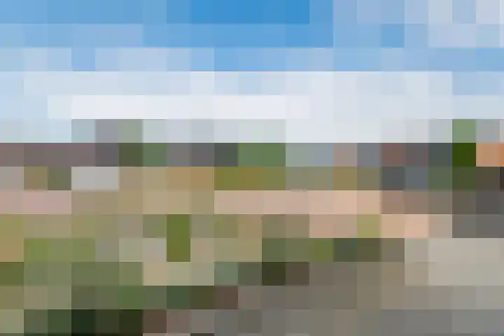 Tureluur 33 Maurik thumbnail 25
