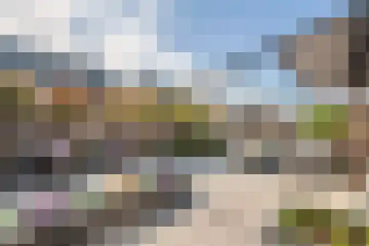Tureluur 33 Maurik thumbnail 26