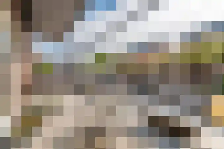 Tureluur 33 Maurik thumbnail 27