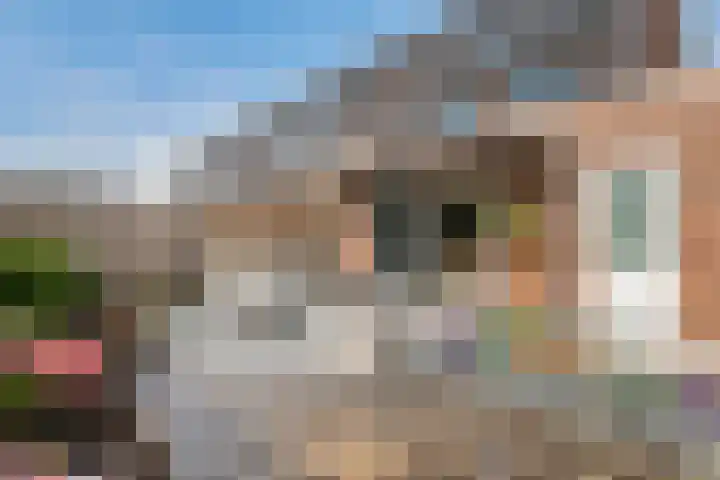 Tureluur 33 Maurik thumbnail 28