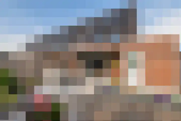 Tureluur 33 Maurik thumbnail 29
