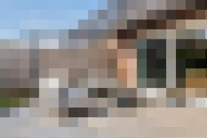 Tureluur 33 Maurik thumbnail 30