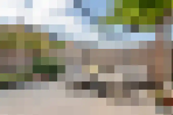 Tureluur 33 Maurik thumbnail 32