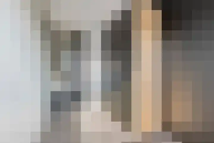 Tureluur 33 Maurik thumbnail 33