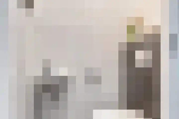 Tureluur 33 Maurik thumbnail 35