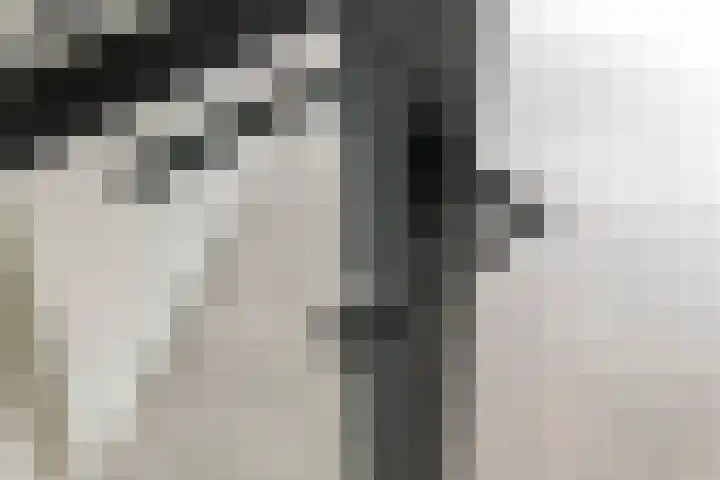 Tureluur 33 Maurik thumbnail 37