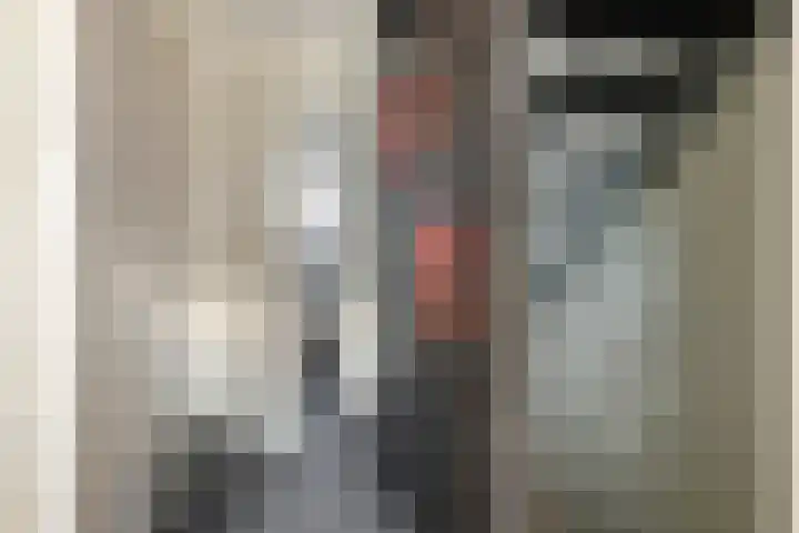 Tureluur 33 Maurik thumbnail 38