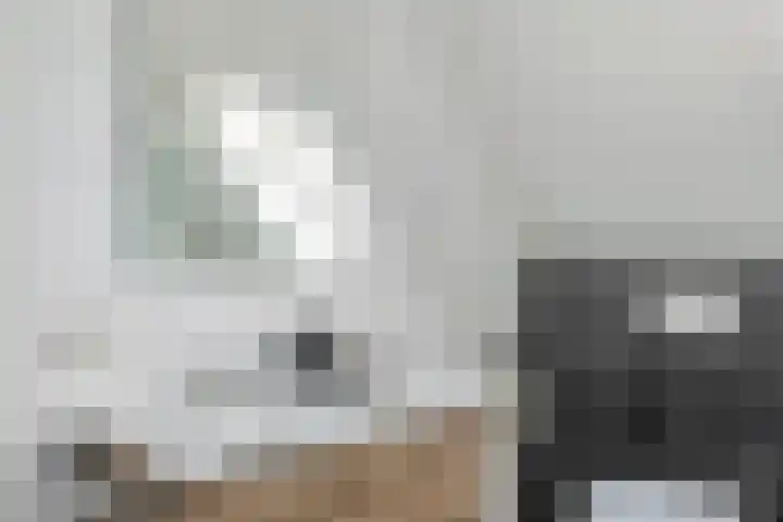 Tureluur 33 Maurik thumbnail 39