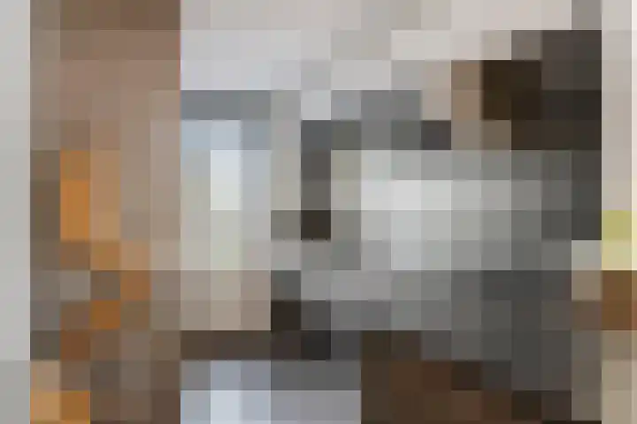 Tureluur 33 Maurik thumbnail 4