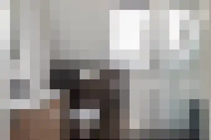 Tureluur 33 Maurik thumbnail 40