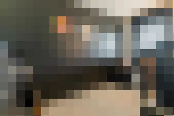 Tureluur 33 Maurik thumbnail 43