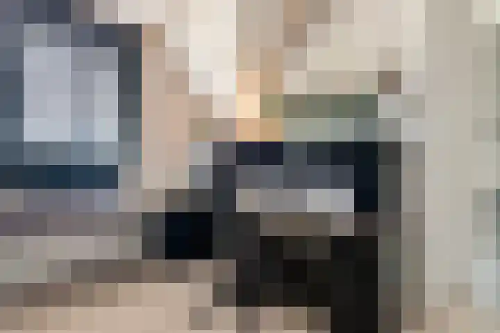 Tureluur 33 Maurik thumbnail 44