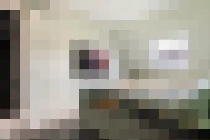 Tureluur 33 Maurik thumbnail 46