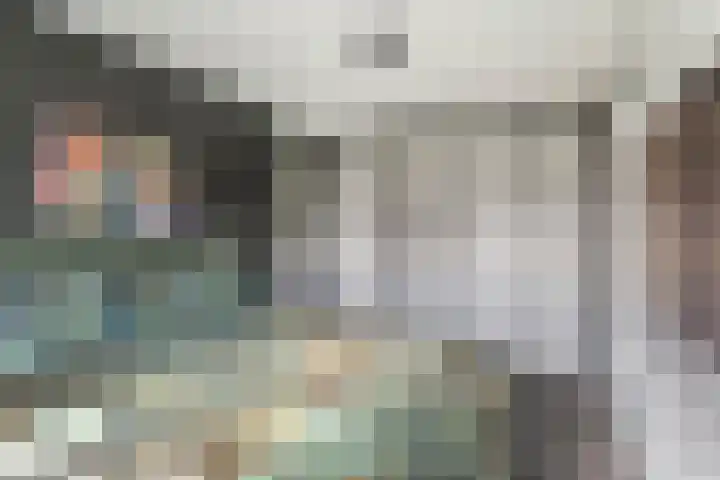 Tureluur 33 Maurik thumbnail 47