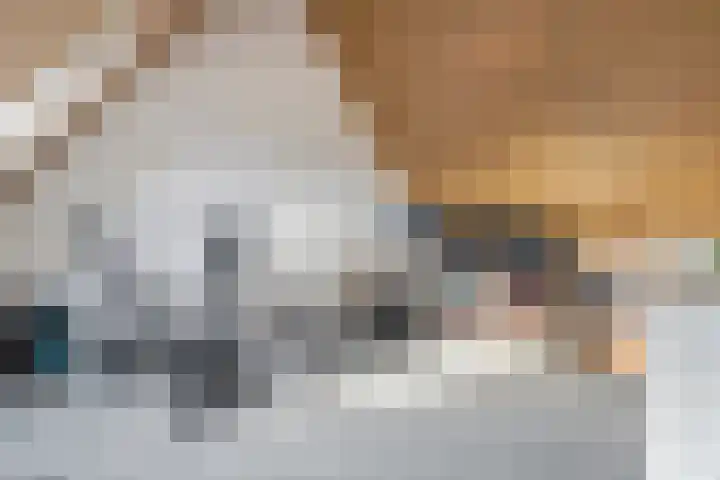 Tureluur 33 Maurik thumbnail 49