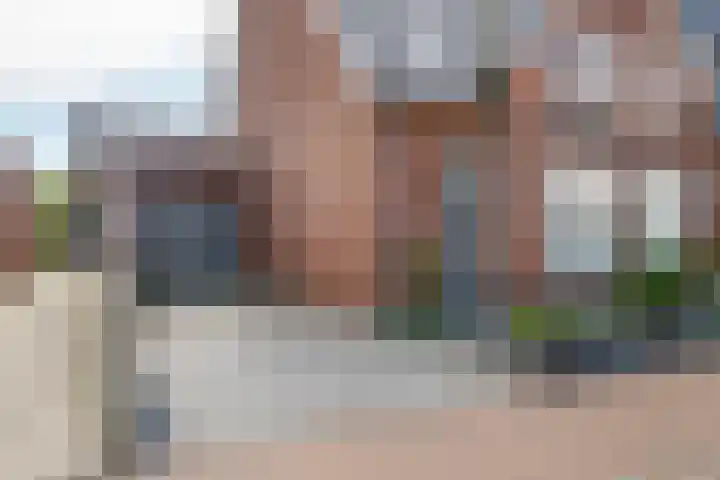 Tureluur 33 Maurik thumbnail 5