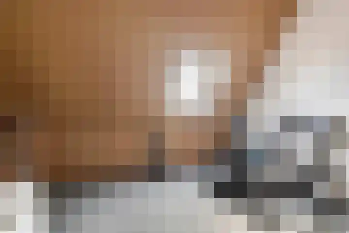 Tureluur 33 Maurik thumbnail 50