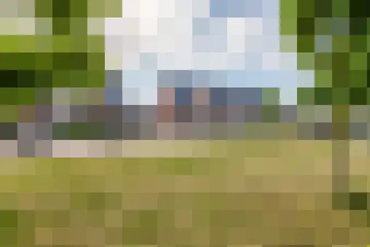 Tureluur 33 Maurik thumbnail 52