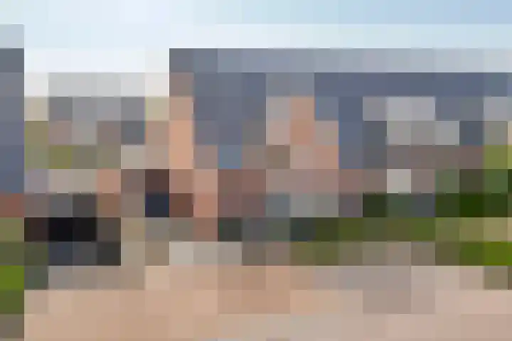 Tureluur 33 Maurik thumbnail 53