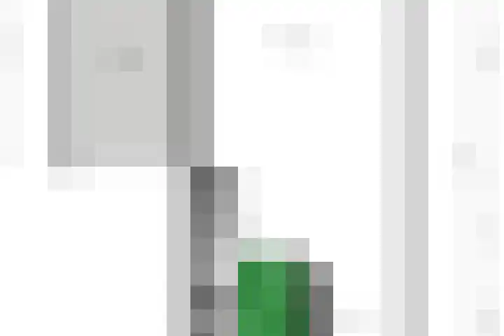 Tureluur 33 Maurik thumbnail 54