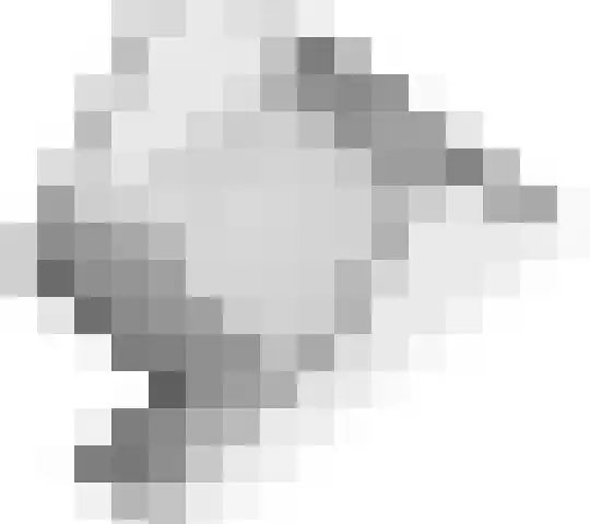 Tureluur 33 Maurik thumbnail 59