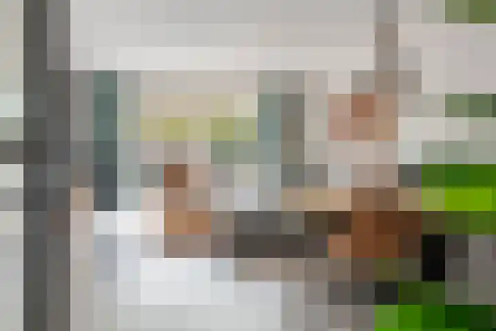 Tureluur 33 Maurik thumbnail 6