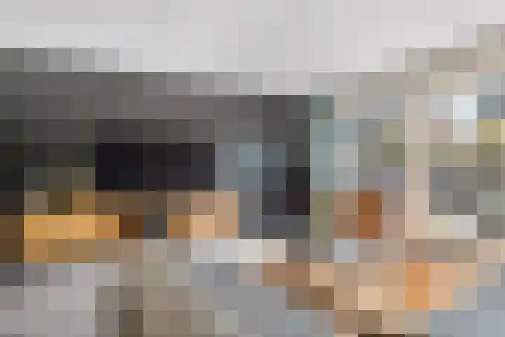 Tureluur 33 Maurik thumbnail 8
