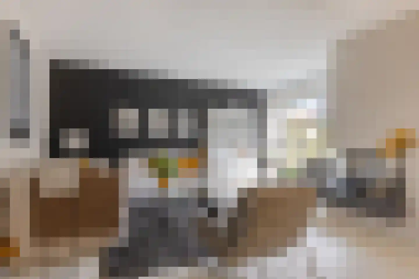Tureluur 36 Hoogvliet Rotterdam thumbnail 13