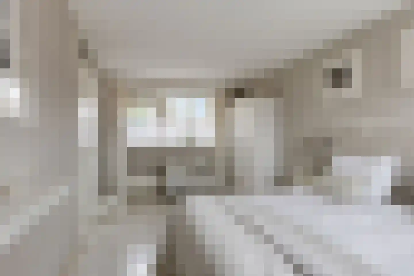 Tureluur 36 Hoogvliet Rotterdam thumbnail 21