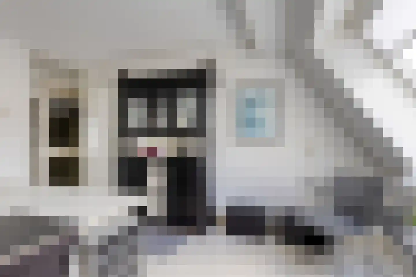 Tureluur 36 Hoogvliet Rotterdam thumbnail 28