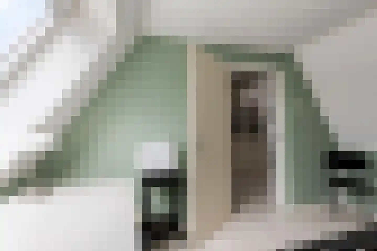 Tureluur 36 Hoogvliet Rotterdam thumbnail 38