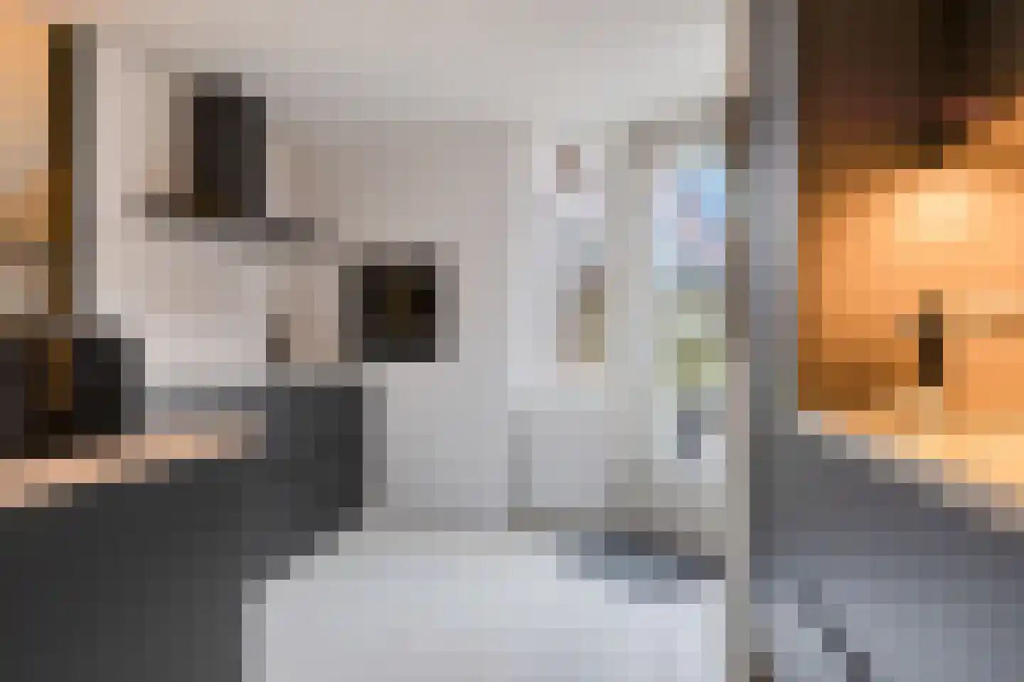 Tureluur 36 Hoogvliet Rotterdam thumbnail 4