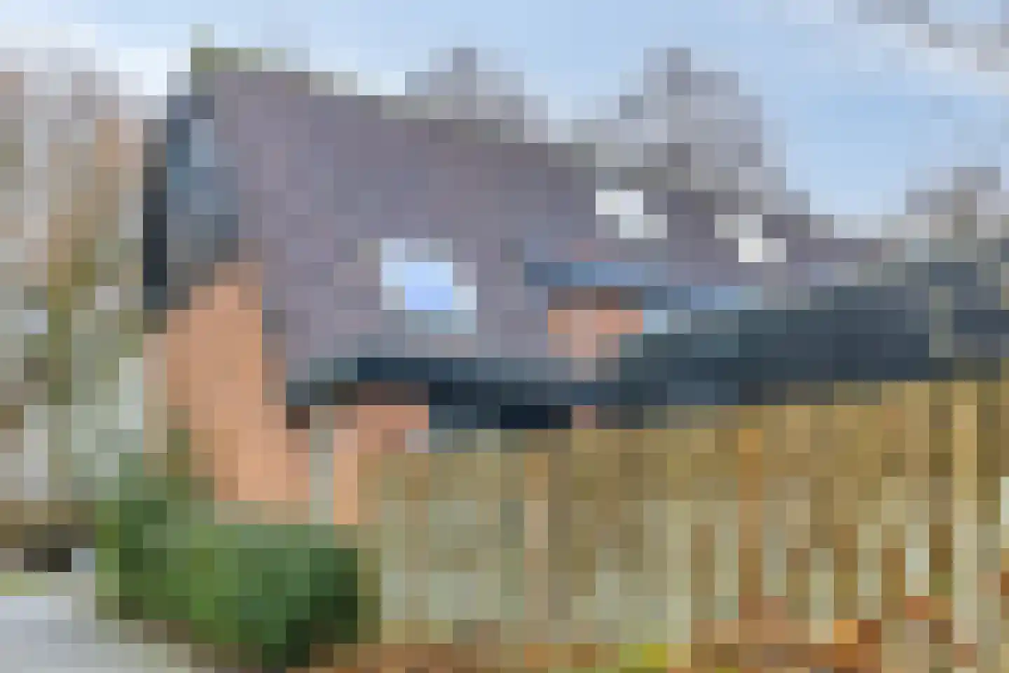 Tureluur 36 Hoogvliet Rotterdam thumbnail 40
