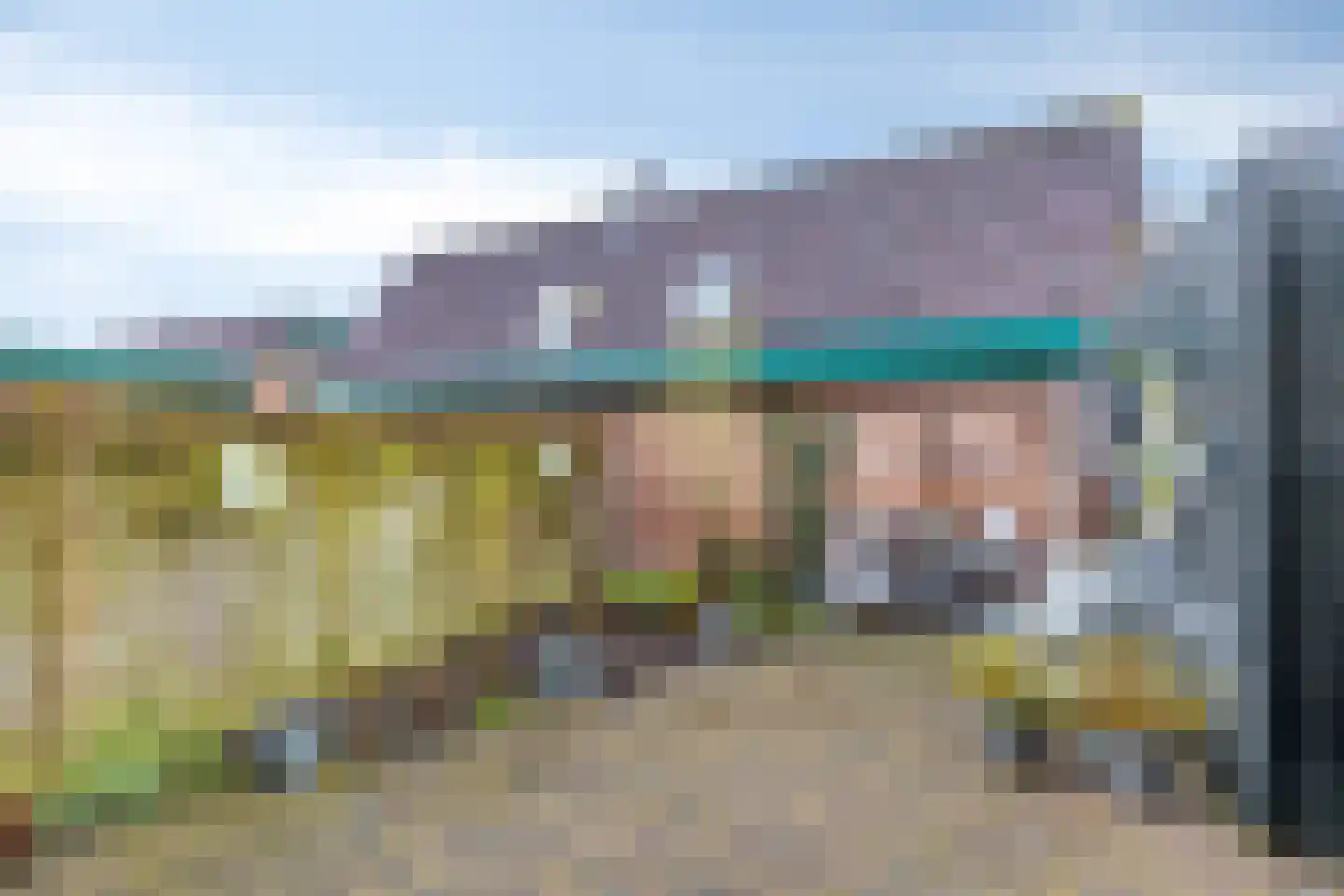 Tureluur 36 Hoogvliet Rotterdam thumbnail 42