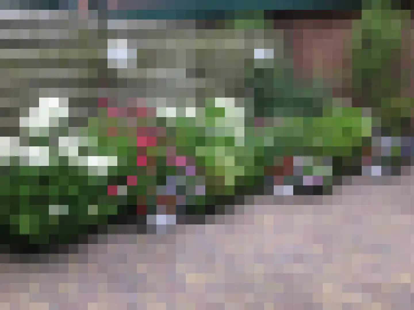Tureluur 36 Hoogvliet Rotterdam thumbnail 43