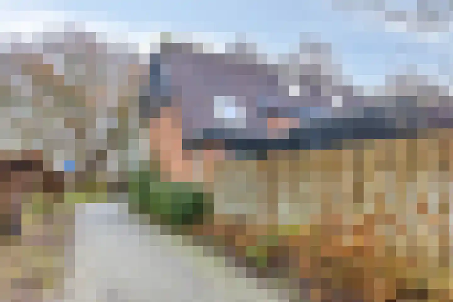 Tureluur 36 Hoogvliet Rotterdam thumbnail 51