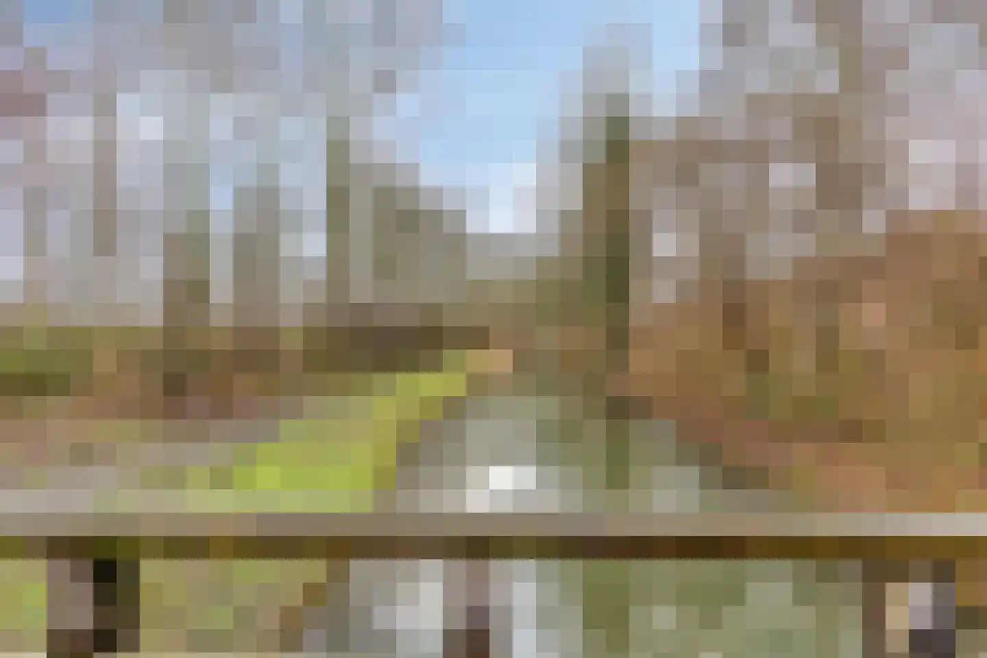 Tureluur 36 Hoogvliet Rotterdam thumbnail 53