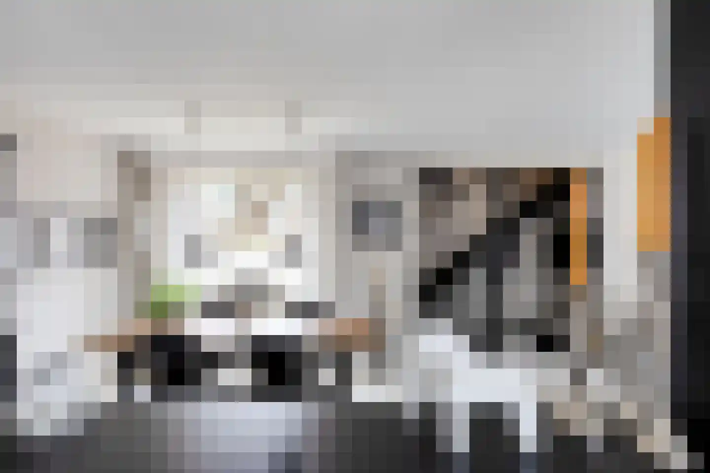 Tureluur 36 Hoogvliet Rotterdam thumbnail 8
