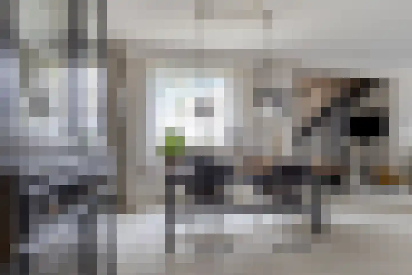 Tureluur 36 Hoogvliet Rotterdam thumbnail 9