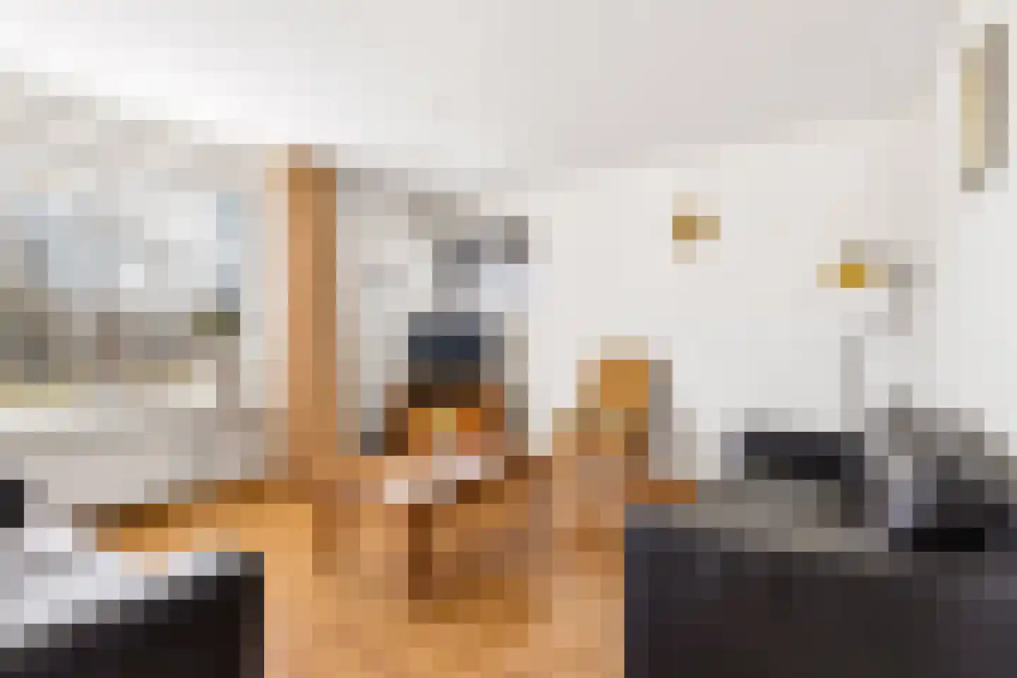 Tureluur 4 Elburg thumbnail 10