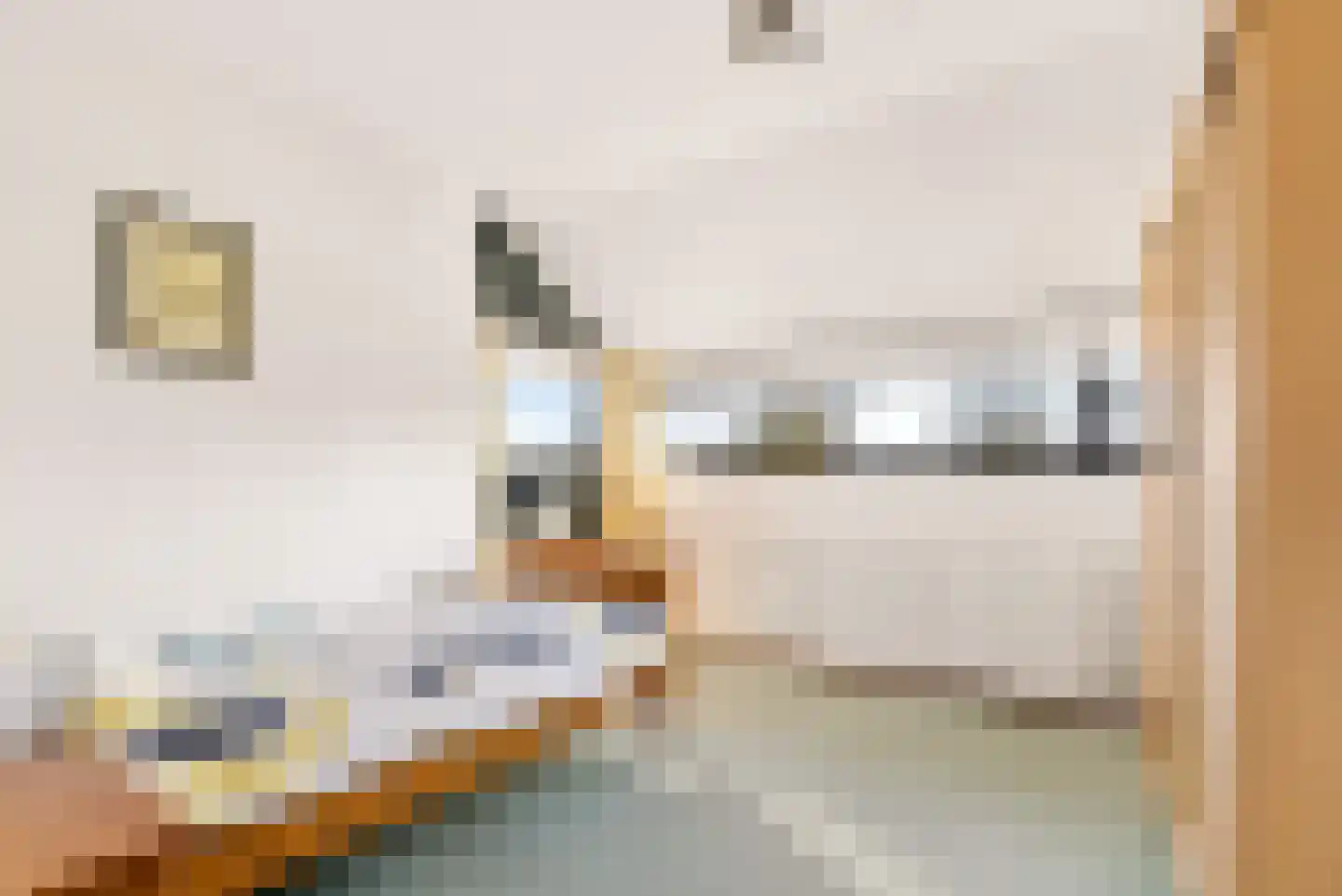 Tureluur 4 Elburg thumbnail 31