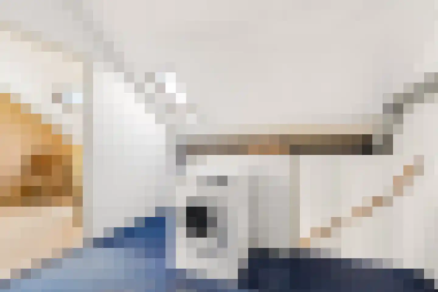 Tureluur 4 Elburg thumbnail 37