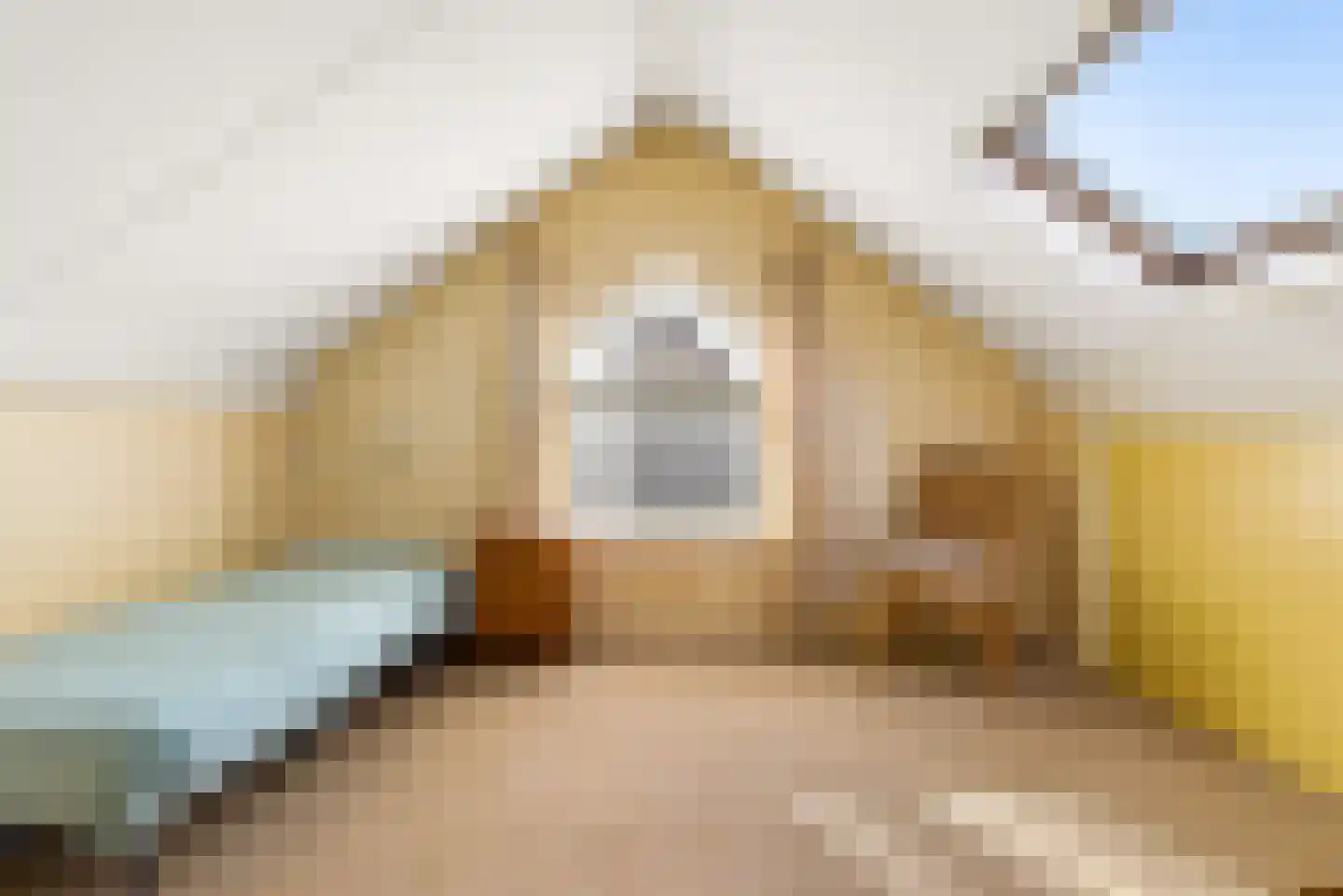 Tureluur 4 Elburg thumbnail 38