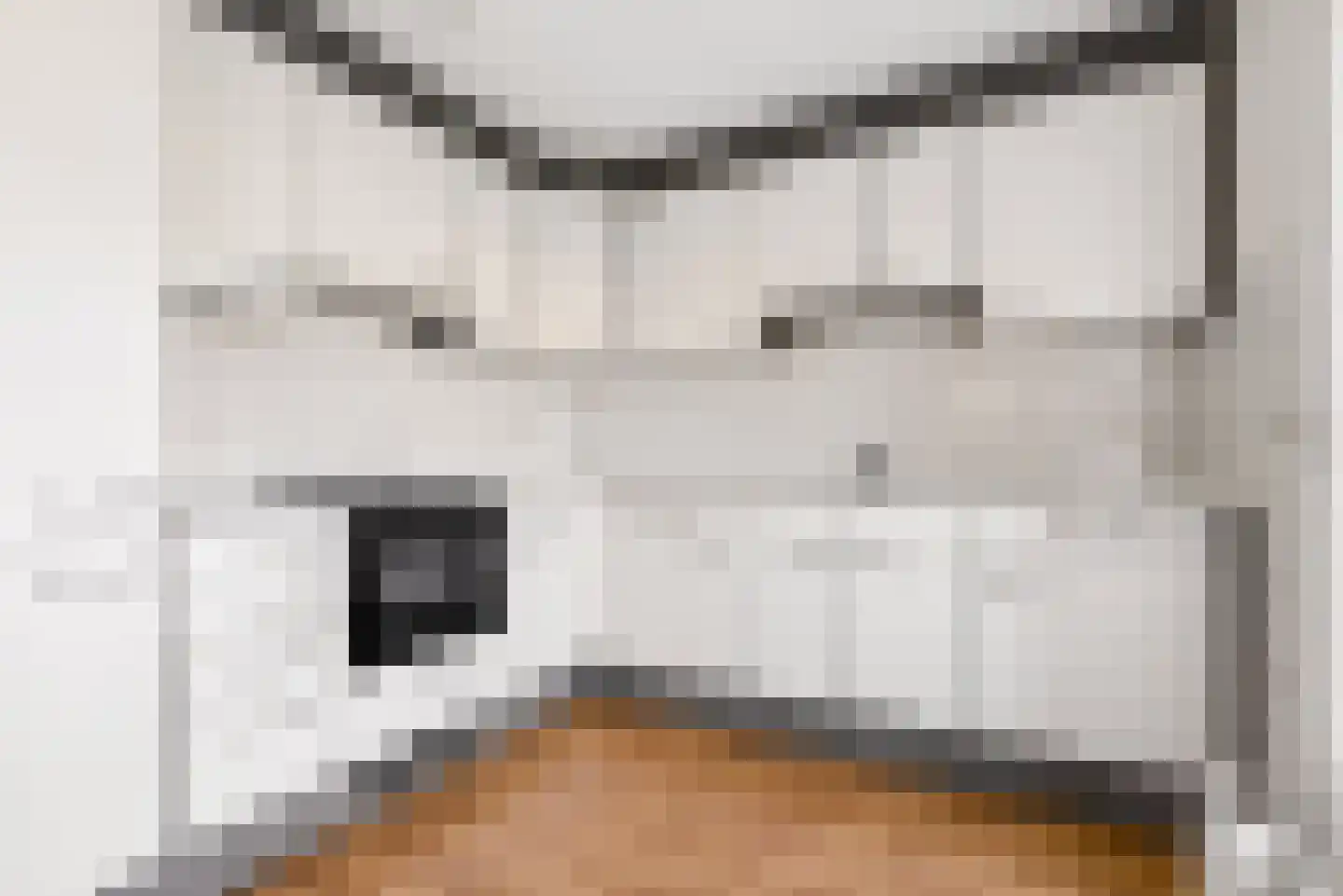 Tureluur 4 Elburg thumbnail 4
